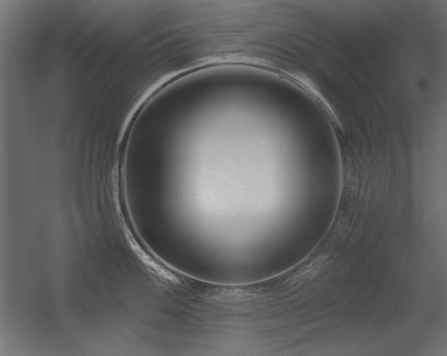 X0000056321100200509021556