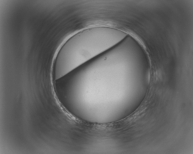 X0000056321104200509021556