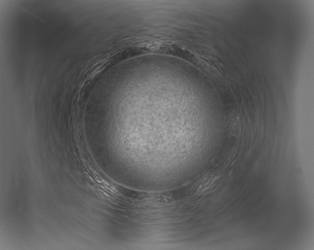 X0000056321105200509021556