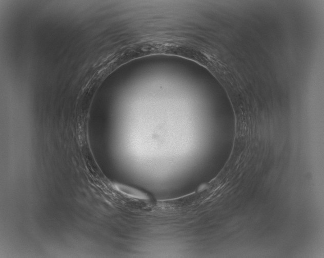 X0000056321109200509021556