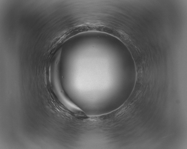 X0000056321110200509021556