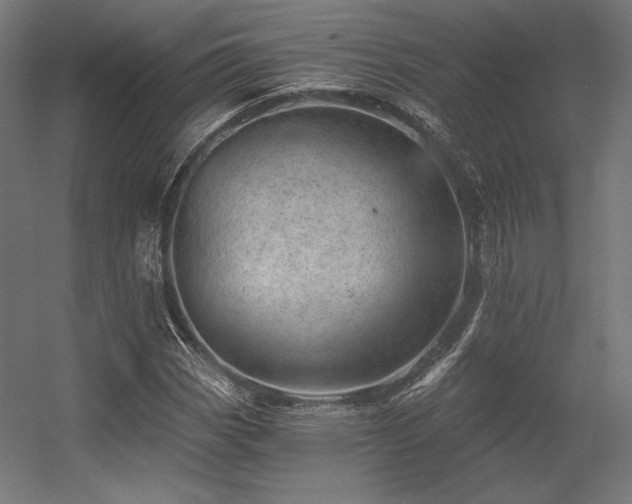 X0000056321113200509021556