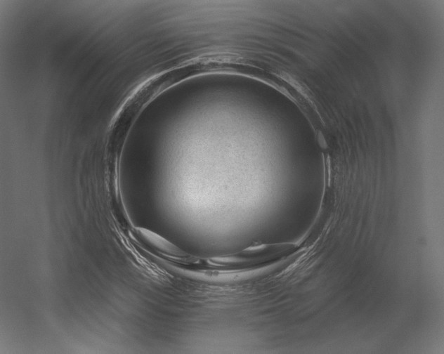 X0000056321115200509021556