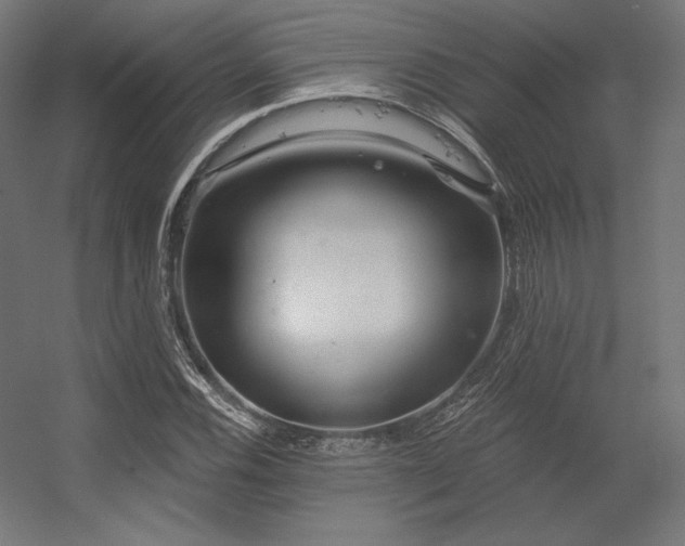 X0000056321116200509021556