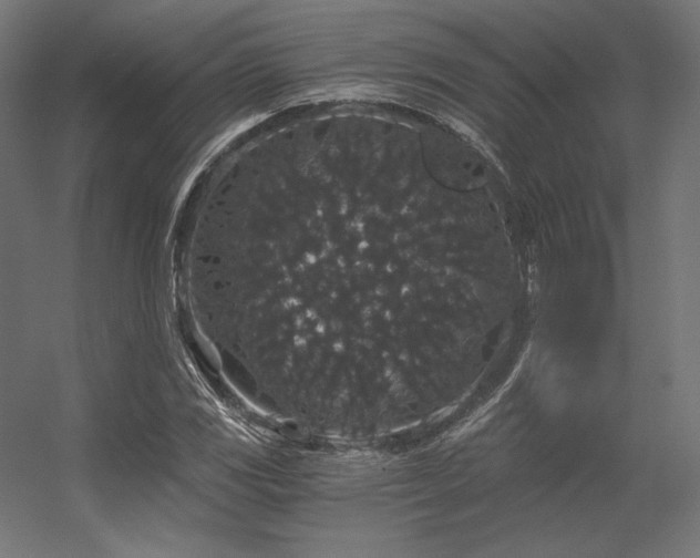 X0000056321117200509021556