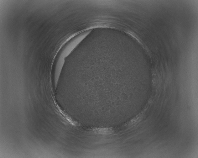 X0000056321121200509021556