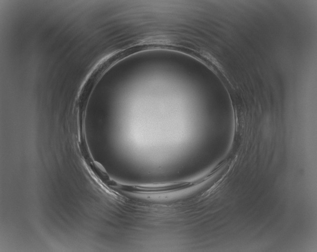 X0000056321123200509021556