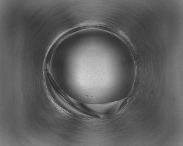 X0000056321124200509021556