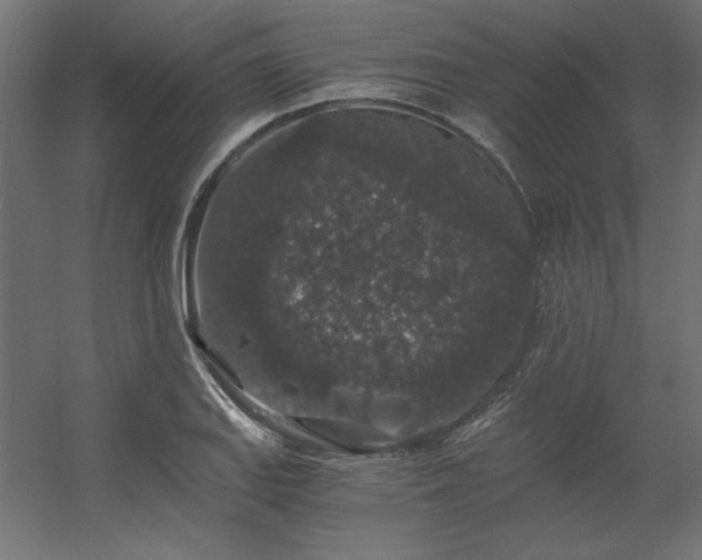 X0000056321127200509021556