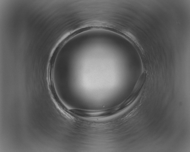 X0000056321128200509021556