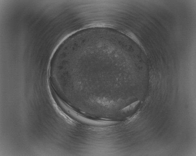 X0000056321132200509021556