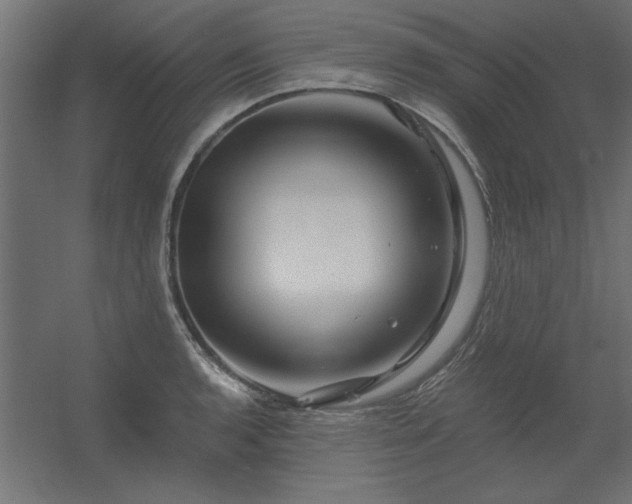 X0000056321136200509021556