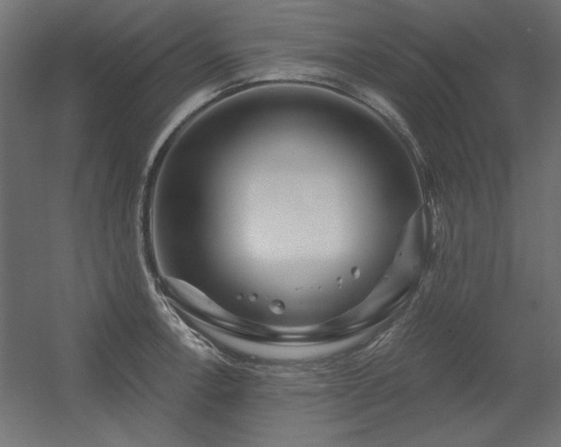 X0000056321138200509021556