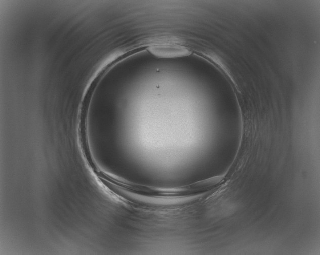 X0000056321139200509021556
