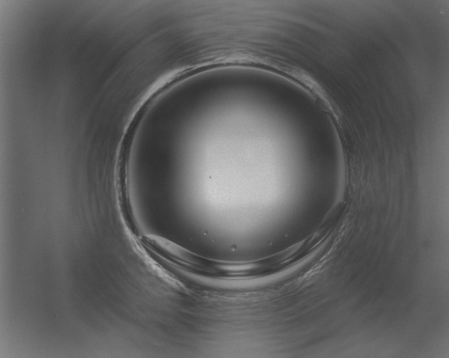 X0000056321142200509021556