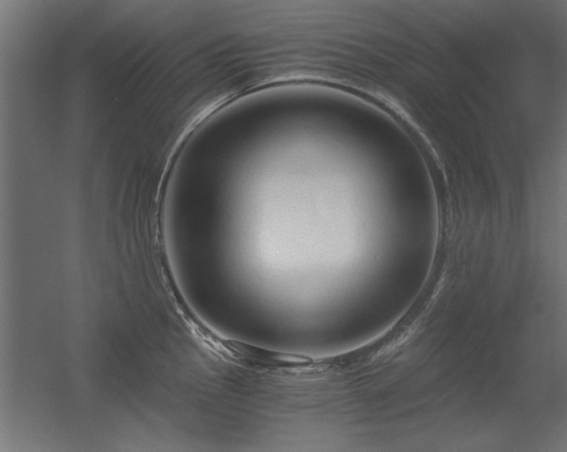 X0000056321145200509021556