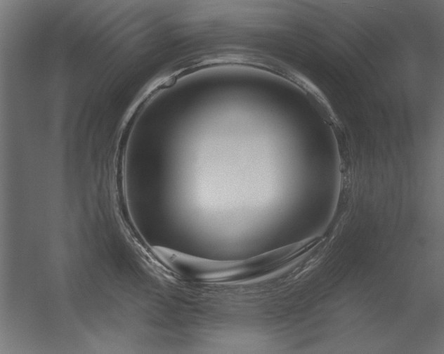 X0000056321146200509021556