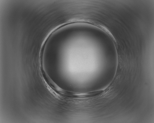 X0000056321148200509021556