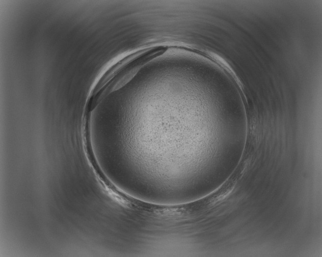 X0000056321149200509021556