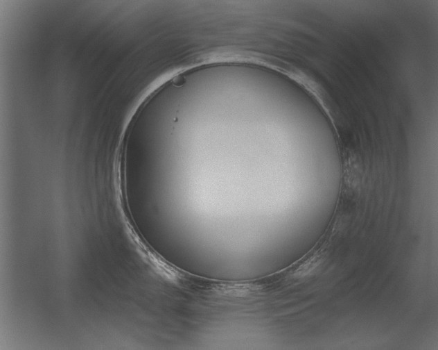 X0000056321150200509021556