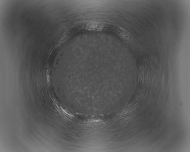 X0000056321154200509021556