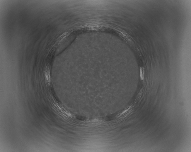 X0000056321155200509021556