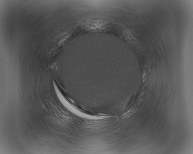 X0000056321156200509021555