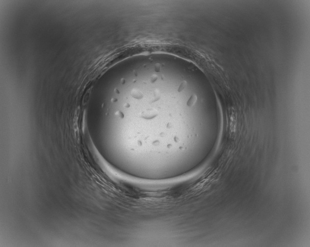X0000056321157200509021555