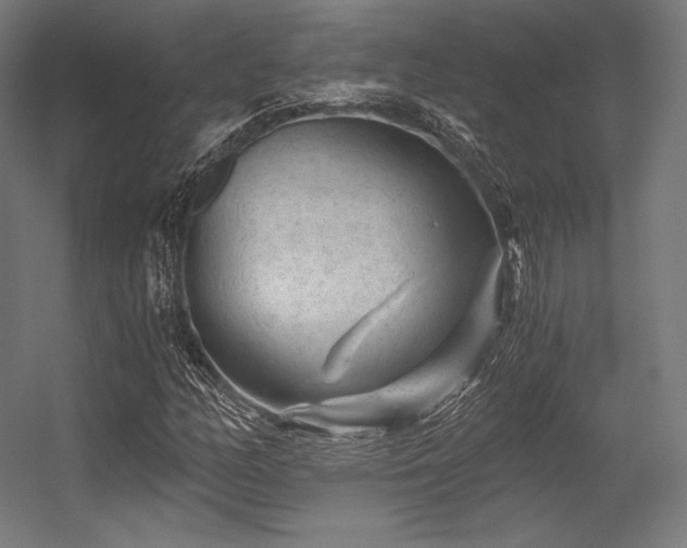 X0000056321158200509021555