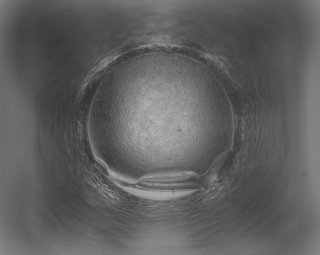 X0000056321159200509021555