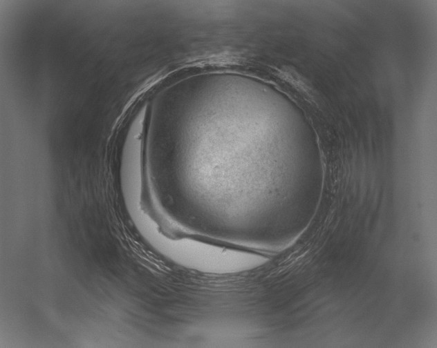 X0000056321160200509021555