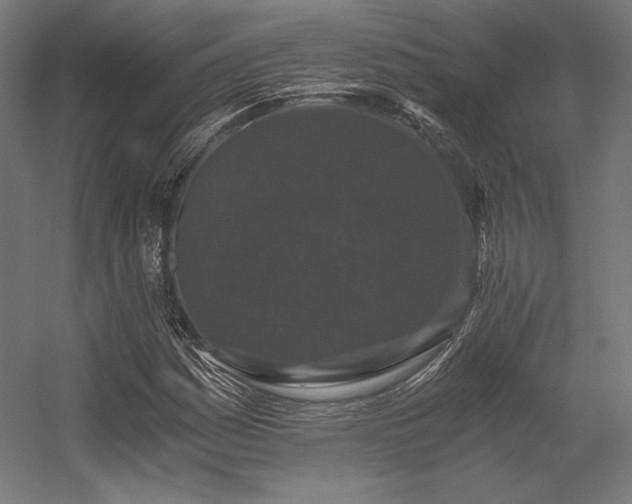 X0000056321161200509021555