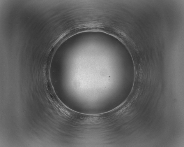 X0000056321162200509021555
