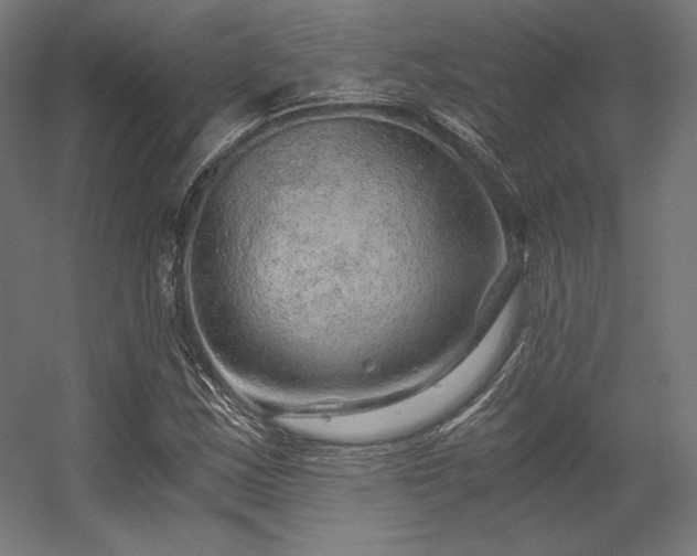X0000056321163200509021555