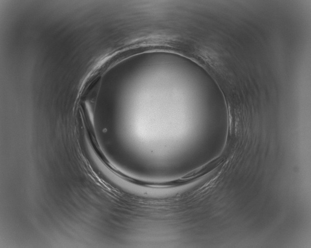 X0000056321164200509021555