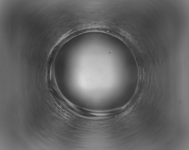 X0000056321165200509021555