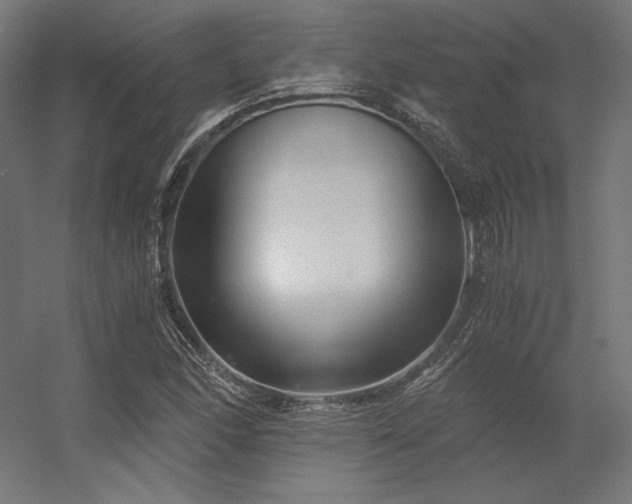 X0000056321166200509021555