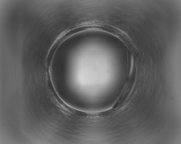 X0000056321168200509021555