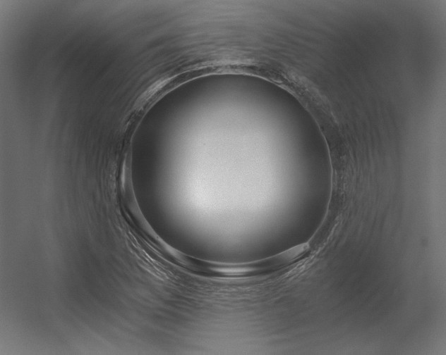 X0000056321169200509021555