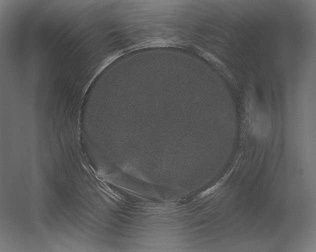 X0000056321170200509021555