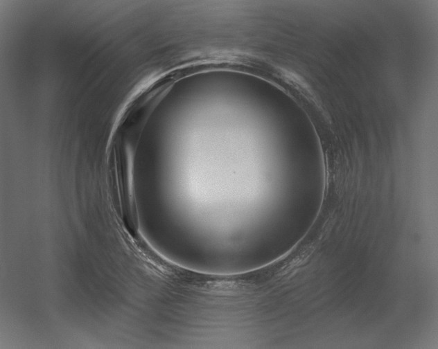 X0000056321172200509021555