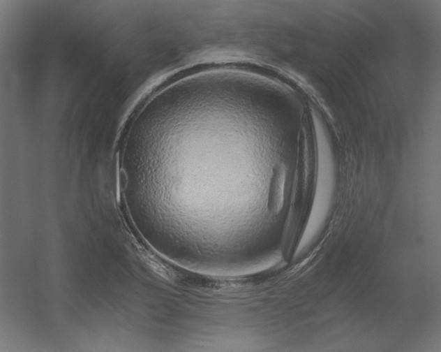 X0000056321175200509021555