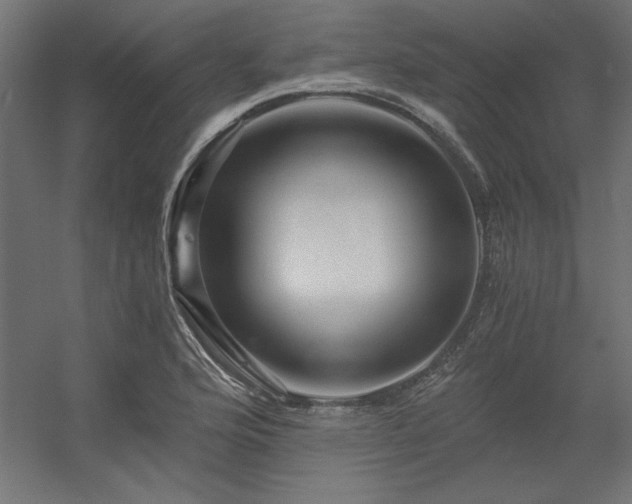 X0000056321176200509021555
