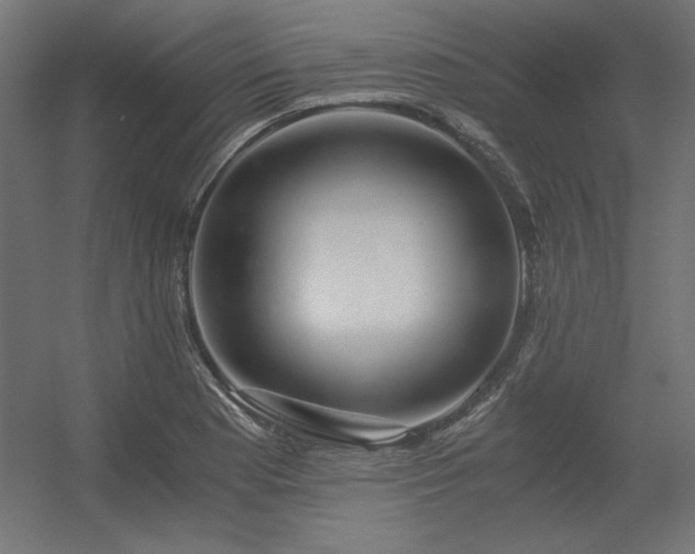 X0000056321177200509021555