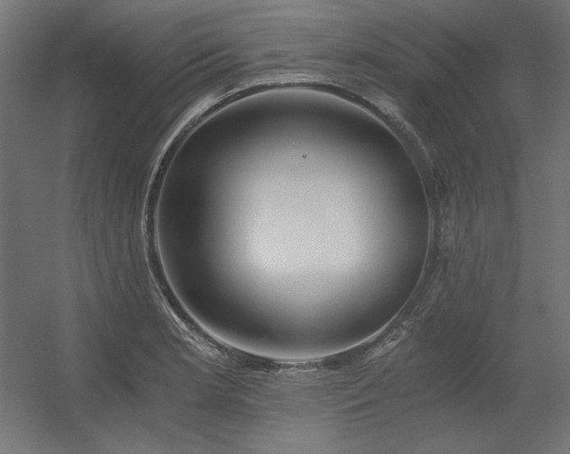 X0000056321181200509021555