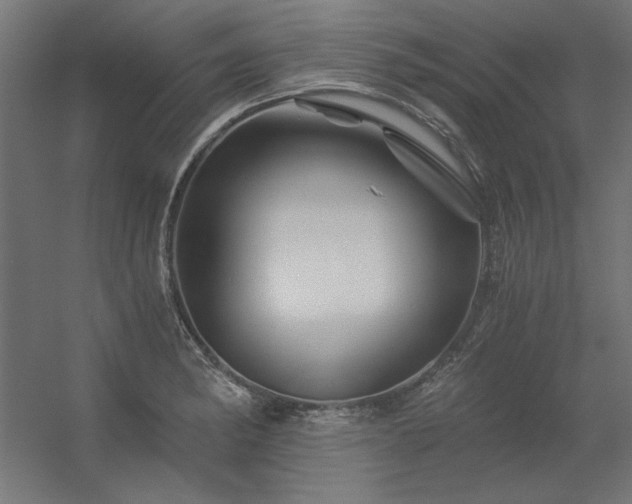 X0000056321182200509021555