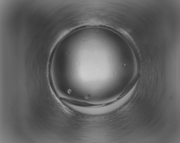 X0000056321183200509021555