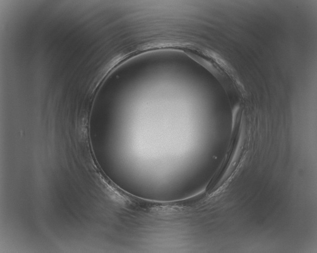 X0000056321185200509021555
