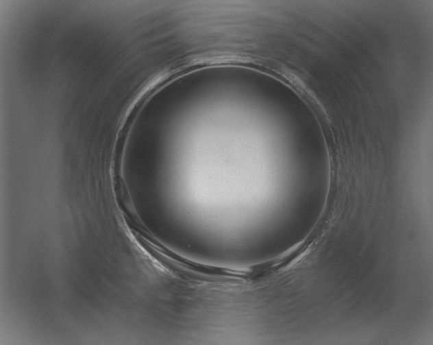 X0000056321189200509021555
