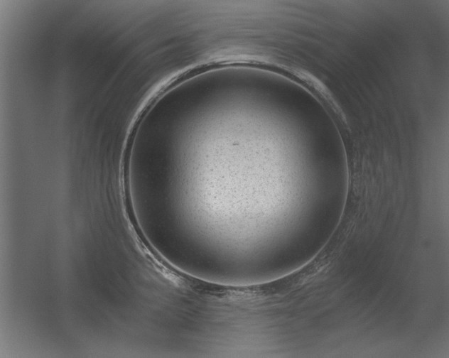X0000056321191200509021555